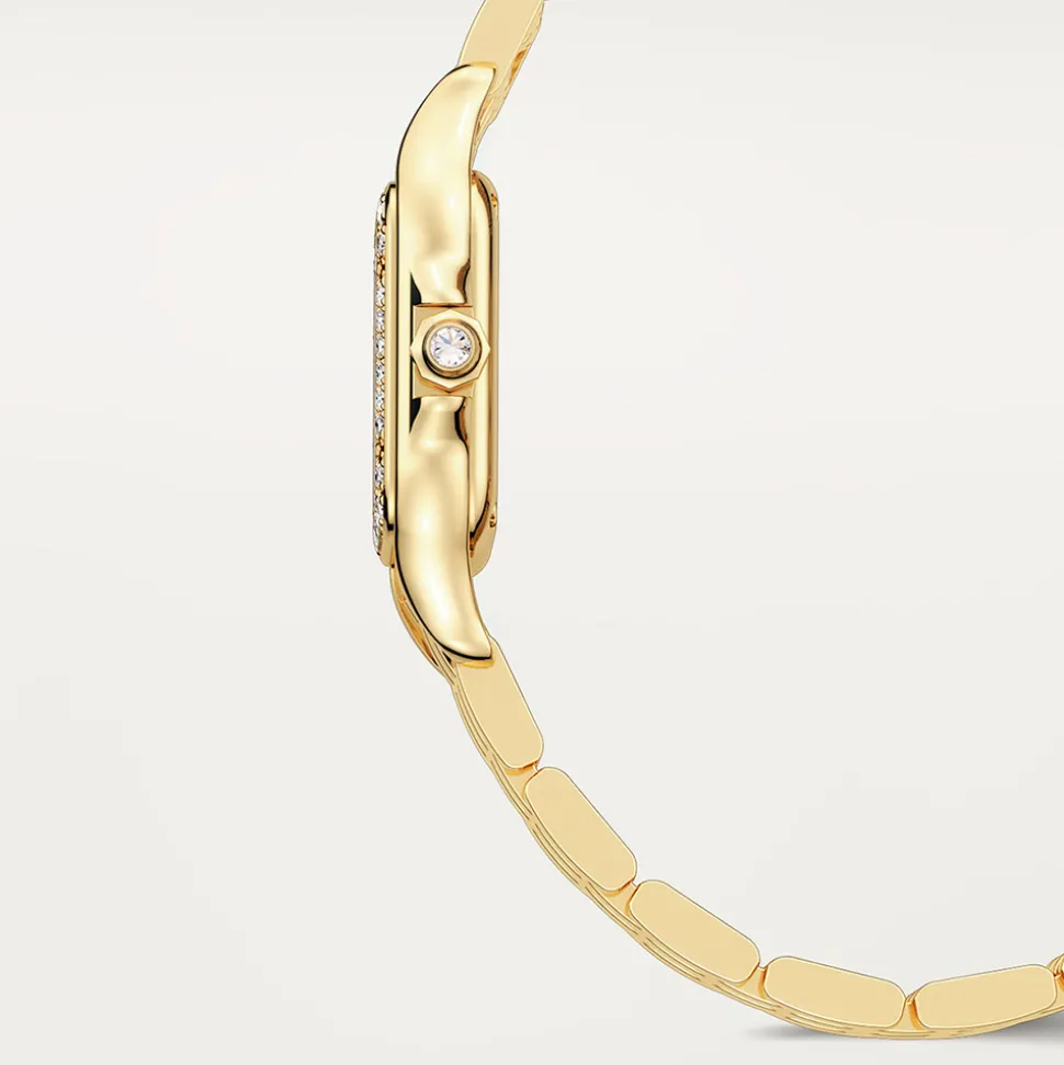 Cartier Panthere de Cartier Small WJPN0067