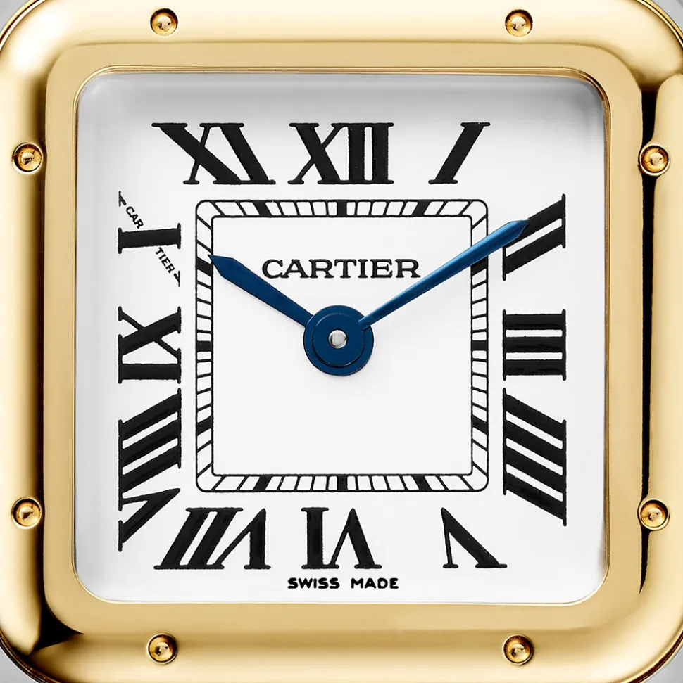 Cartier Panthère de Cartier Small W2PN0013
