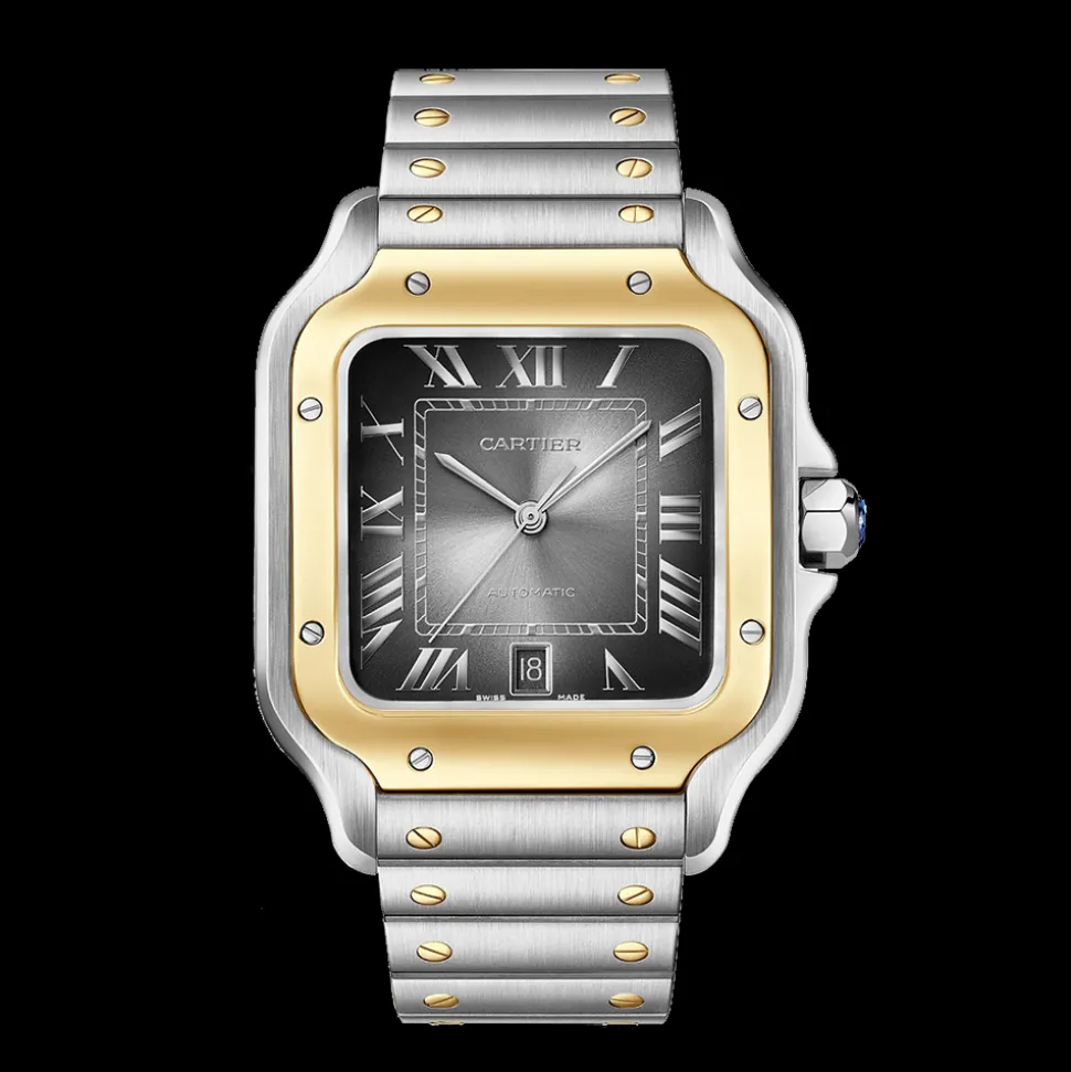 Cartier Santos de Cartier Large W2SA0030