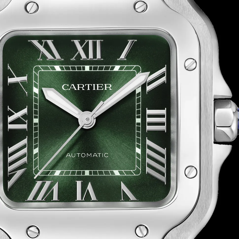 Cartier Santos de Cartier Medium WSSA0061
