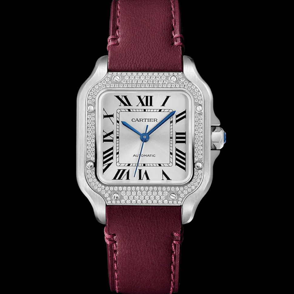 Cartier Santos de Cartier Medium W4SA0005