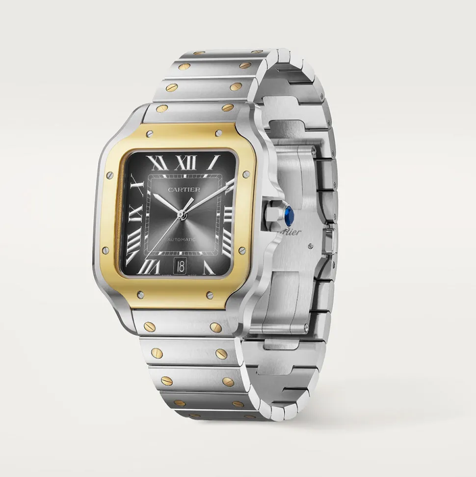 Cartier Santos de Cartier Large W2SA0030