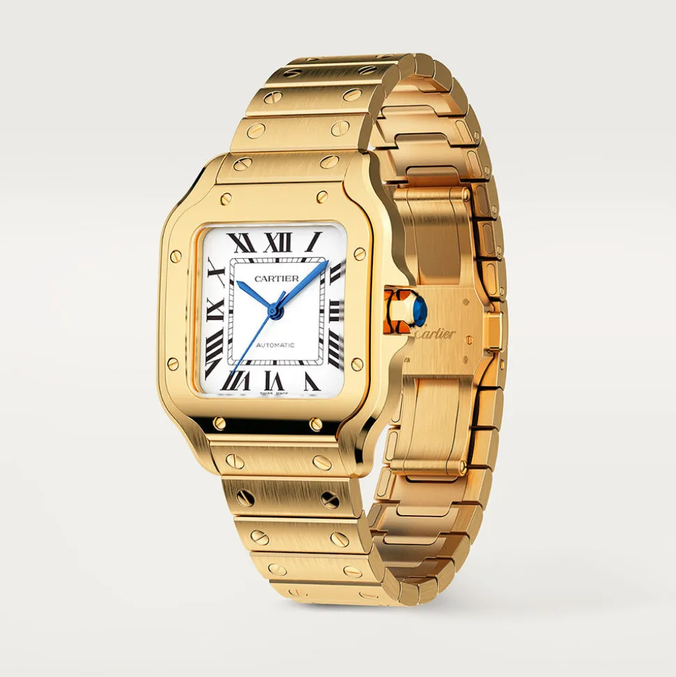 Cartier Santos de Cartier Medium WGSA0030