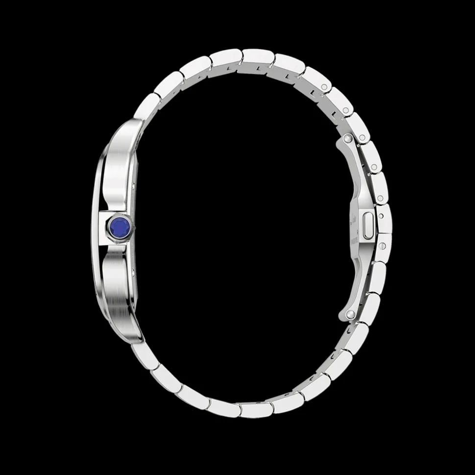 Cartier Santos de Cartier Skeleton Large WHSA0015