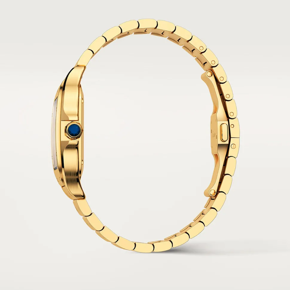 Cartier Santos de Cartier Medium WGSA0030