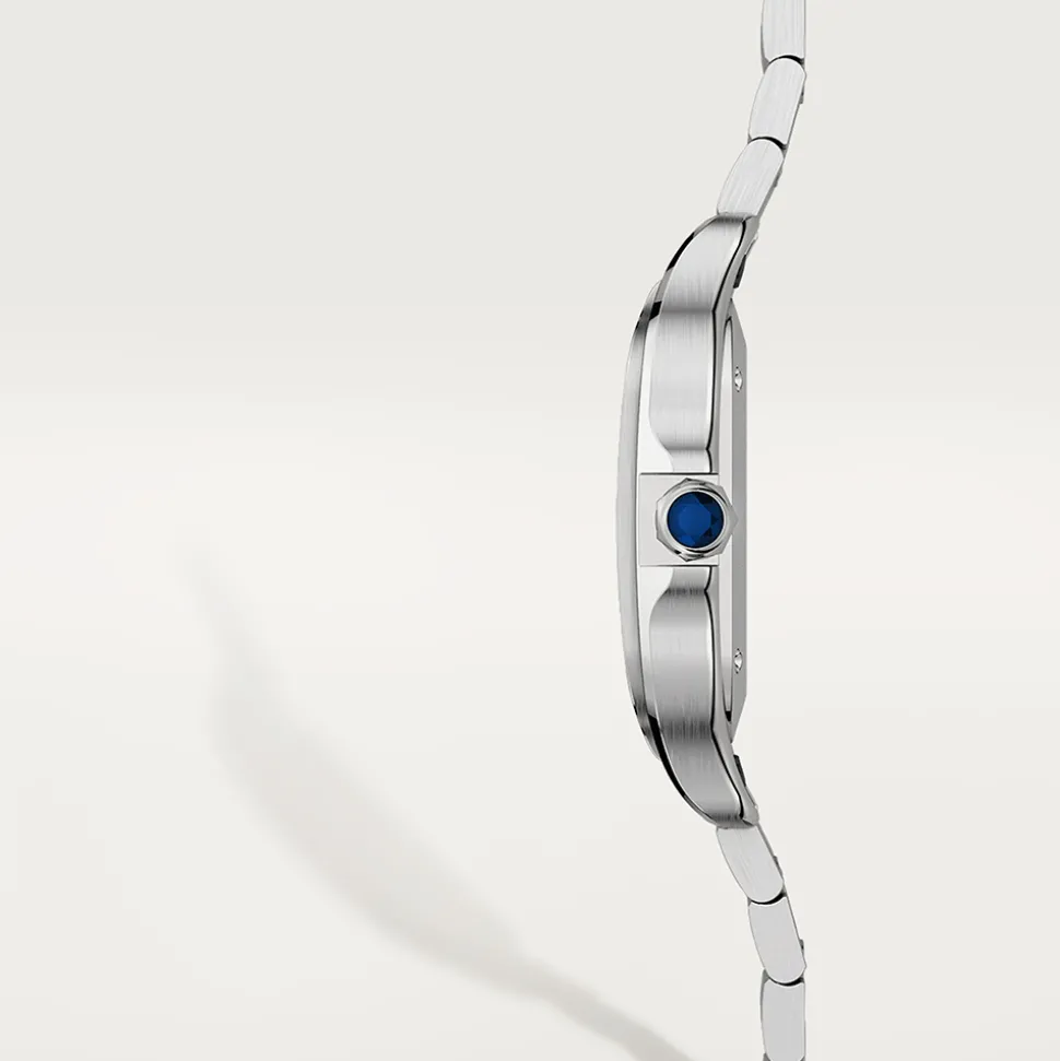 Cartier Santos de Cartier Medium WSSA0029