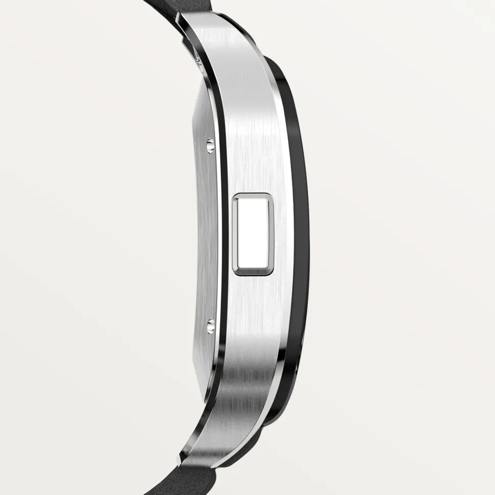 Cartier Santos de Cartier Extra Large WSSA0017