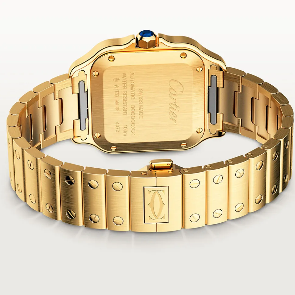 Cartier Santos de Cartier Medium WGSA0030