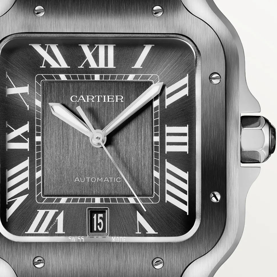 Cartier Santos de Cartier Large WSSA0037