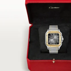 Cartier Santos de Cartier Large W2SA0030
