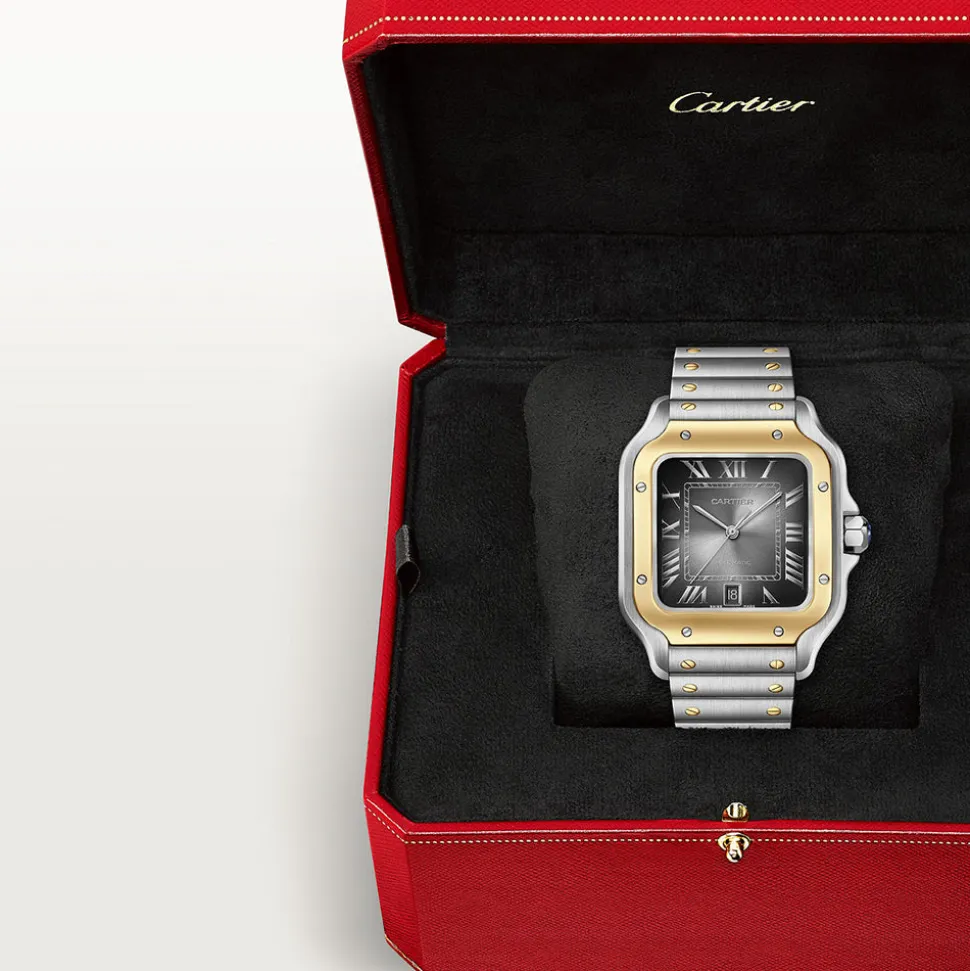 Cartier Santos de Cartier Large W2SA0030