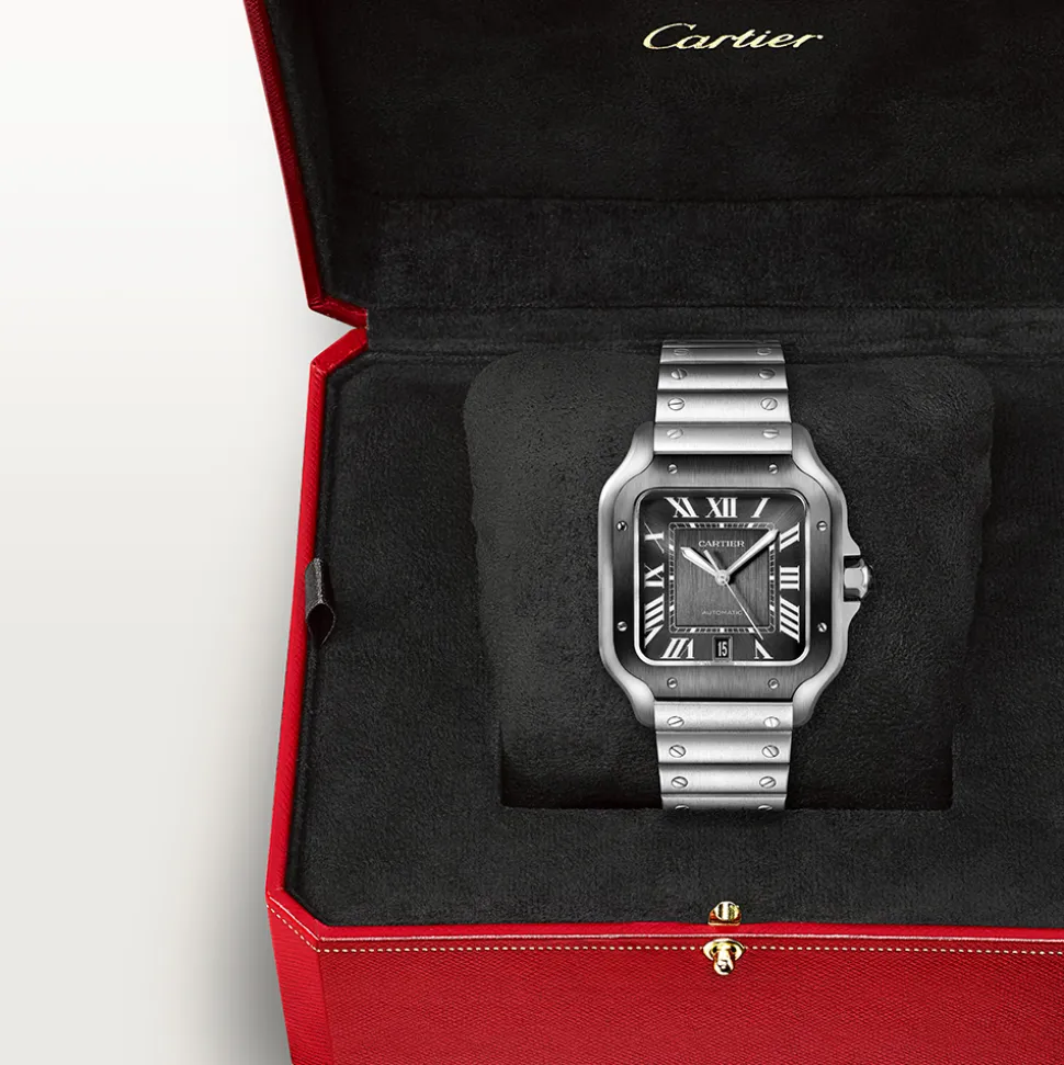 Cartier Santos de Cartier Large WSSA0037