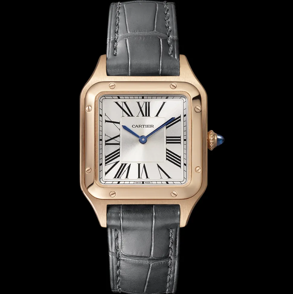 Cartier Santos-Dumont Large WGSA0022