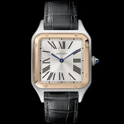 Cartier Santos-Dumont Large W2SA0011