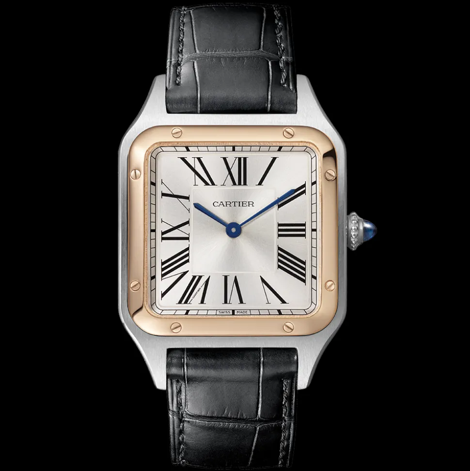 Cartier Santos-Dumont Large W2SA0011