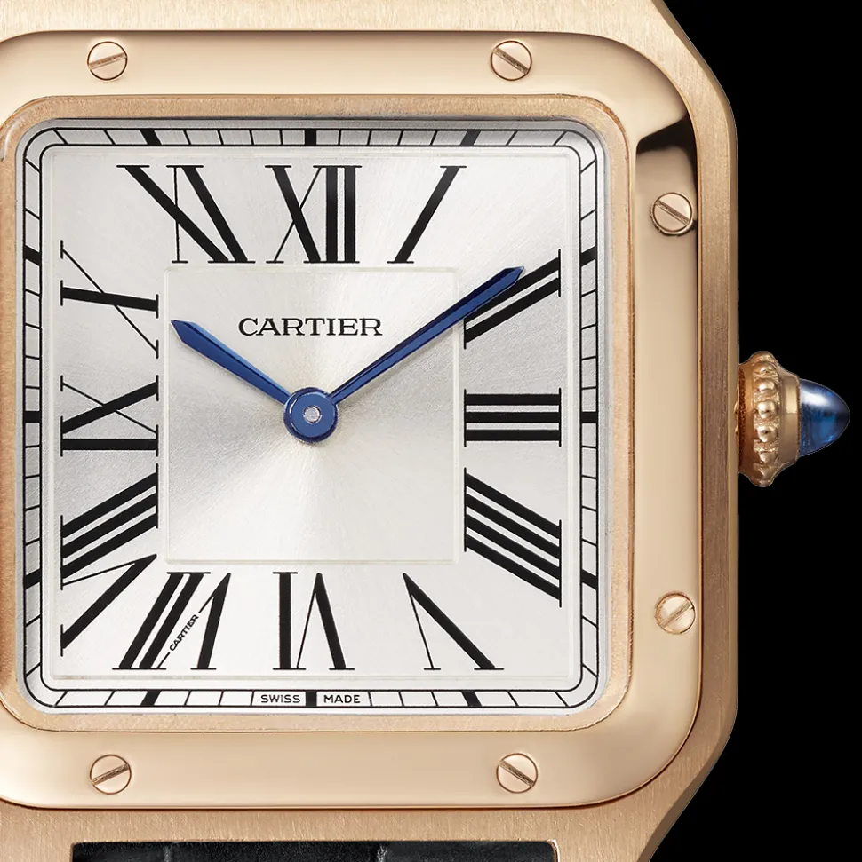 Cartier Santos-Dumont Large WGSA0022