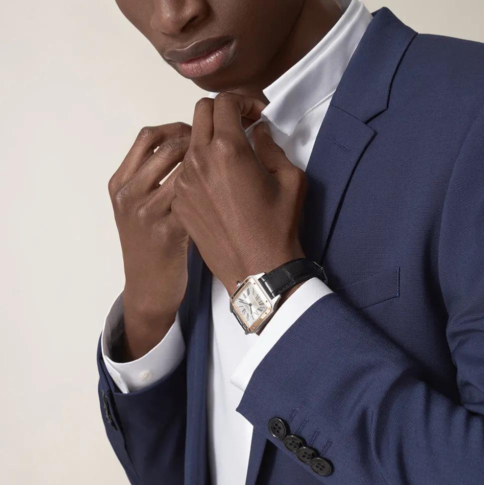 Cartier Santos-Dumont Large W2SA0011