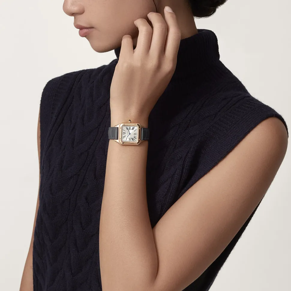 Cartier Santos-Dumont Large WGSA0022