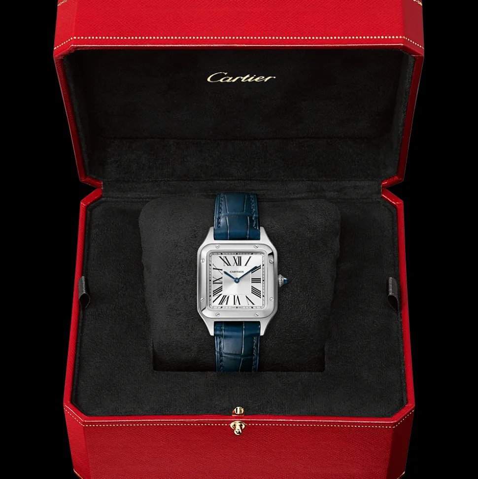 Cartier Santos-Dumont Small WSSA0023