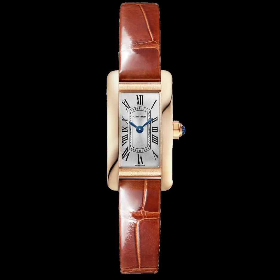 Cartier Tank Américaine Mini Small WGTA0132