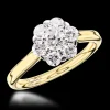 Cluster 0.16ct F SI Diamond Yellow Gold/Platinum Ring