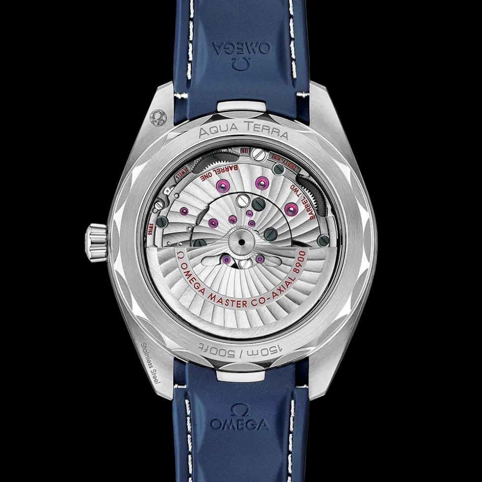 OMEGA Aqua Terra 220.12.41.21.03.007