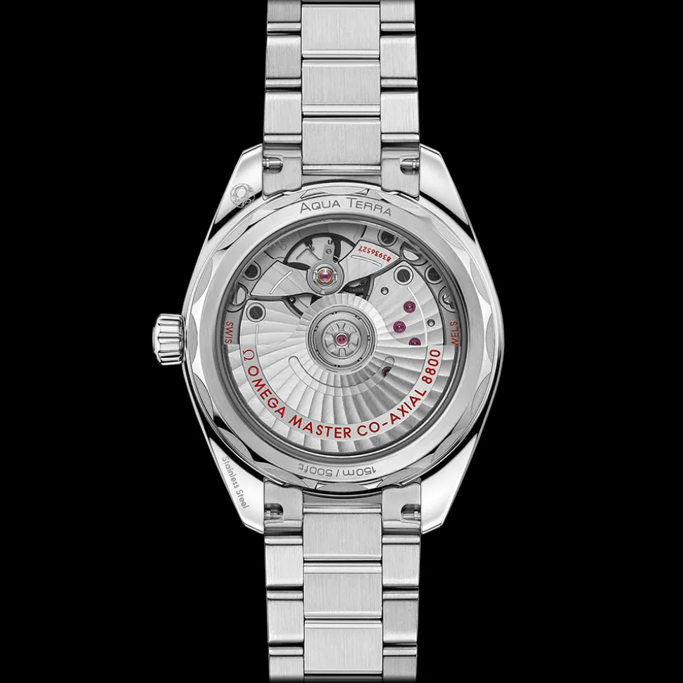 OMEGA Seamaster Aqua Terra 220.10.34.20.03.002