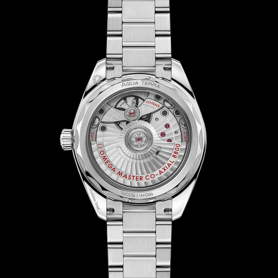 OMEGA Seamaster Aqua Terra 220.10.34.20.10.002