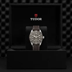 TUDOR Black Bay 58 925 M79010SG-0001