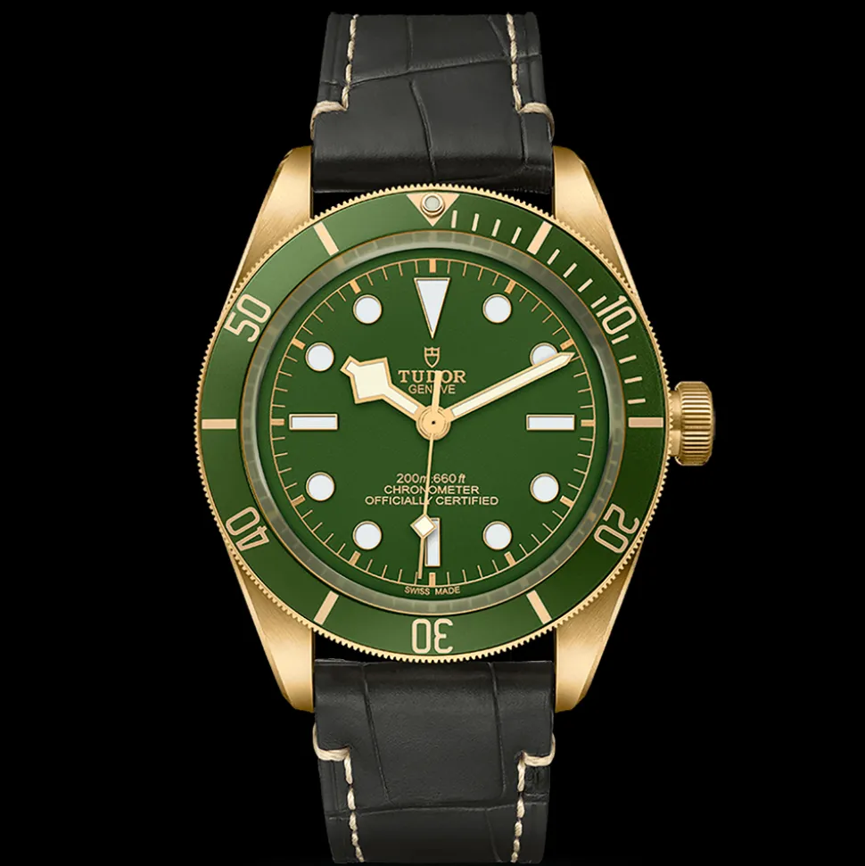 TUDOR Black Bay 58 M79018V-0001
