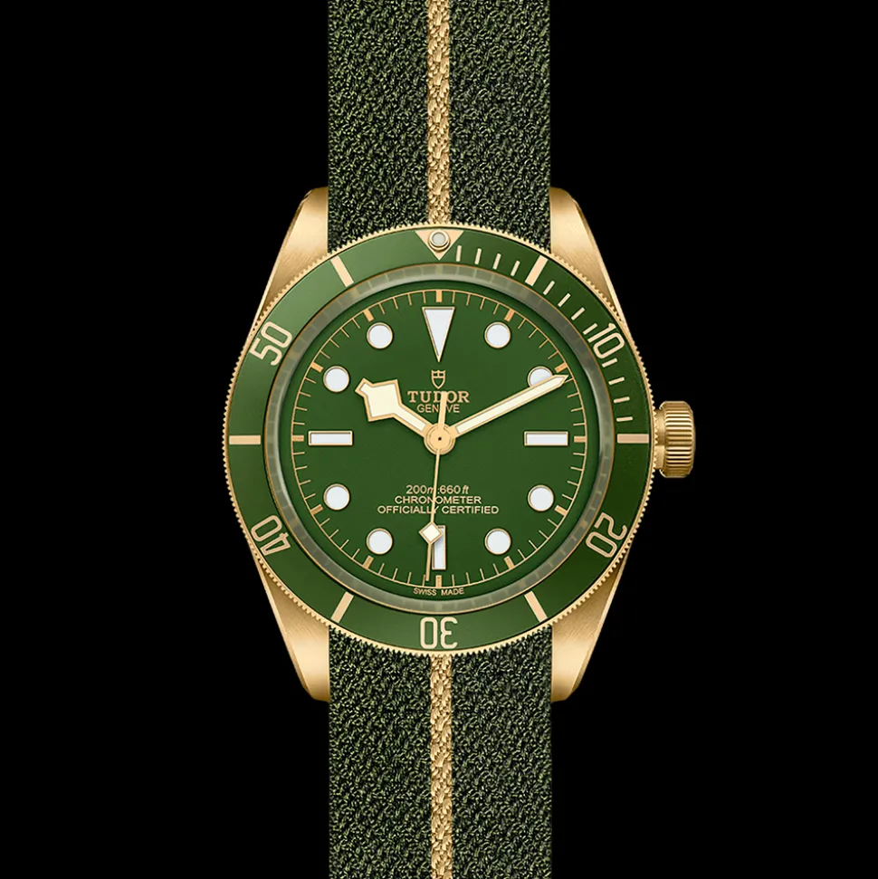 TUDOR Black Bay 58 M79018V-0001