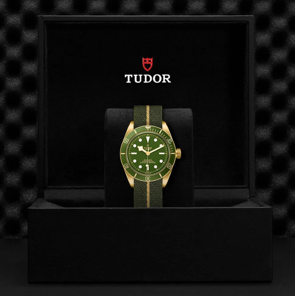 TUDOR Black Bay 58 M79018V-0001