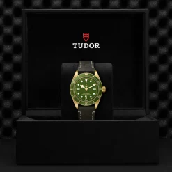 TUDOR Black Bay 58 M79018V-0001