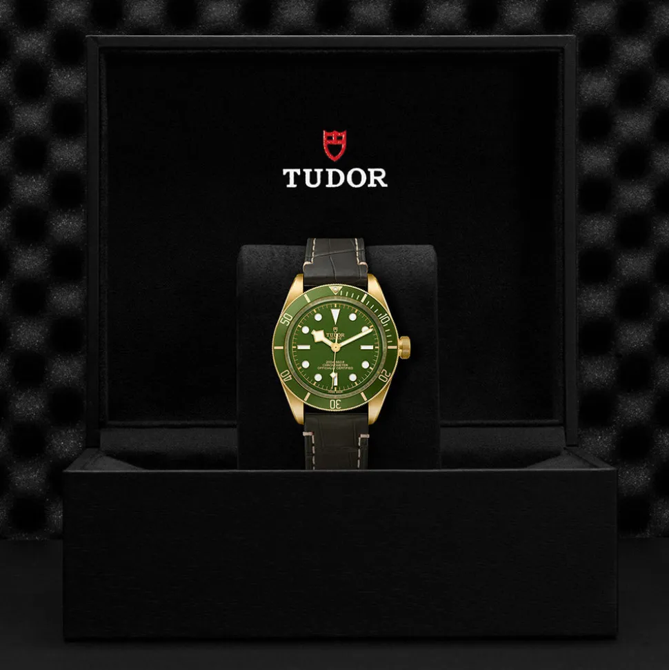 TUDOR Black Bay 58 M79018V-0001