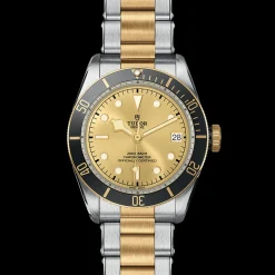 TUDOR Black Bay 41 S&G M79733N-0004
