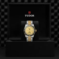 TUDOR Black Bay 41 S&G M79733N-0004