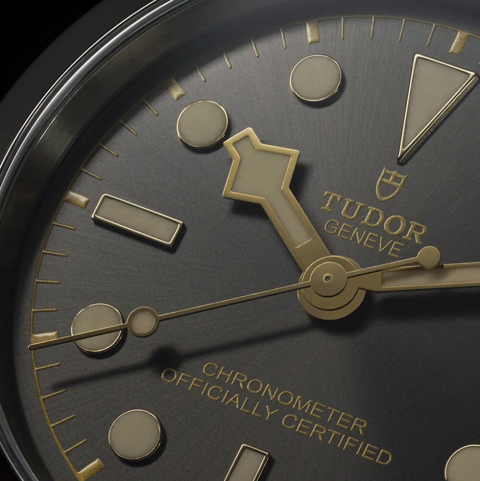 TUDOR Black Bay M79680-0001